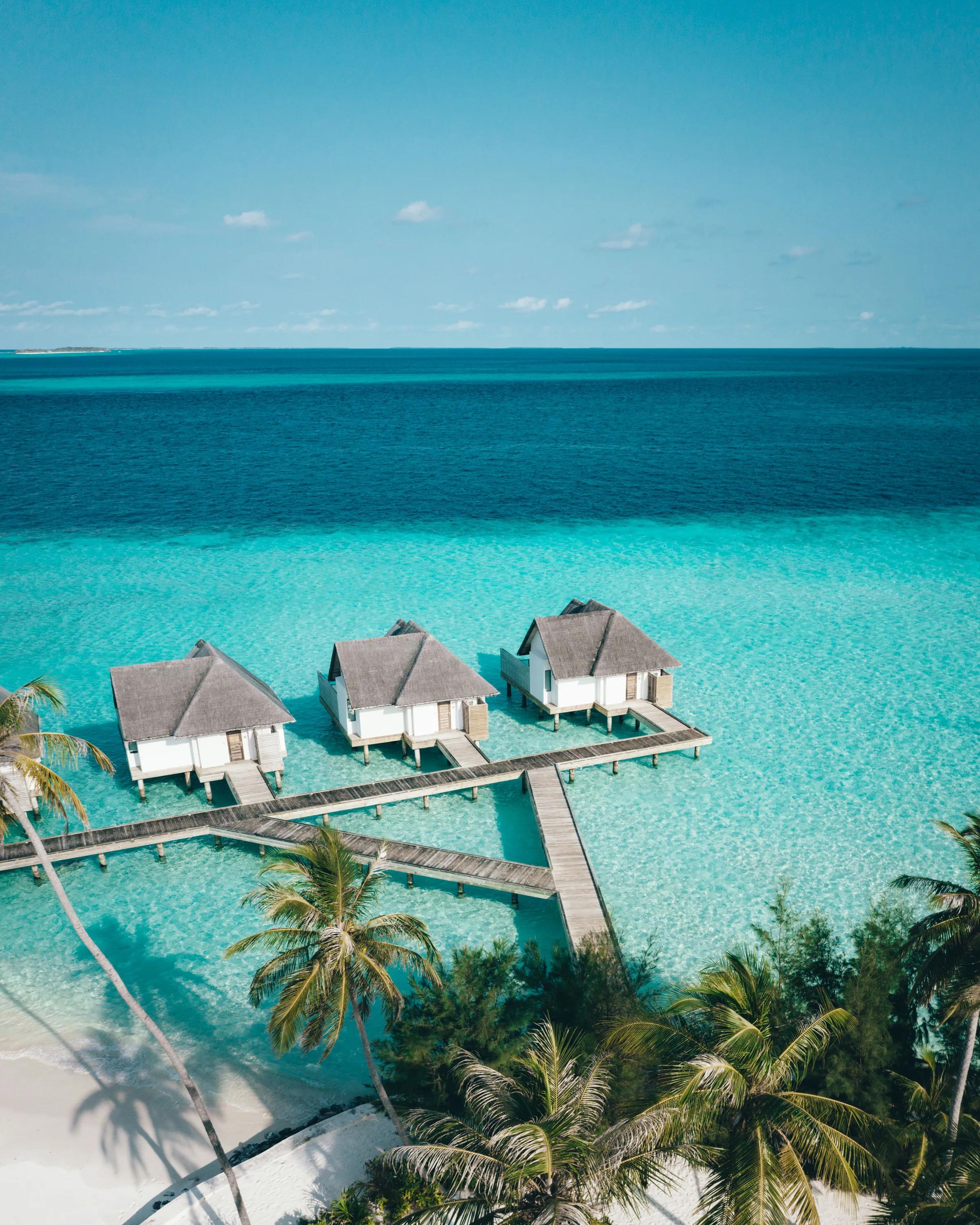 Ville sull'acqua con passerelle in legno e palme tropicali al Fushifaru Maldives.
