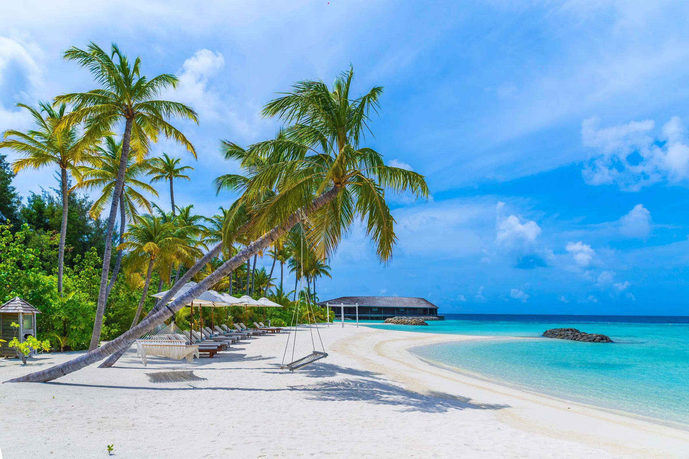 Spiaggia del Kagi Maldives Spa Island con palme e lettini vista mare.