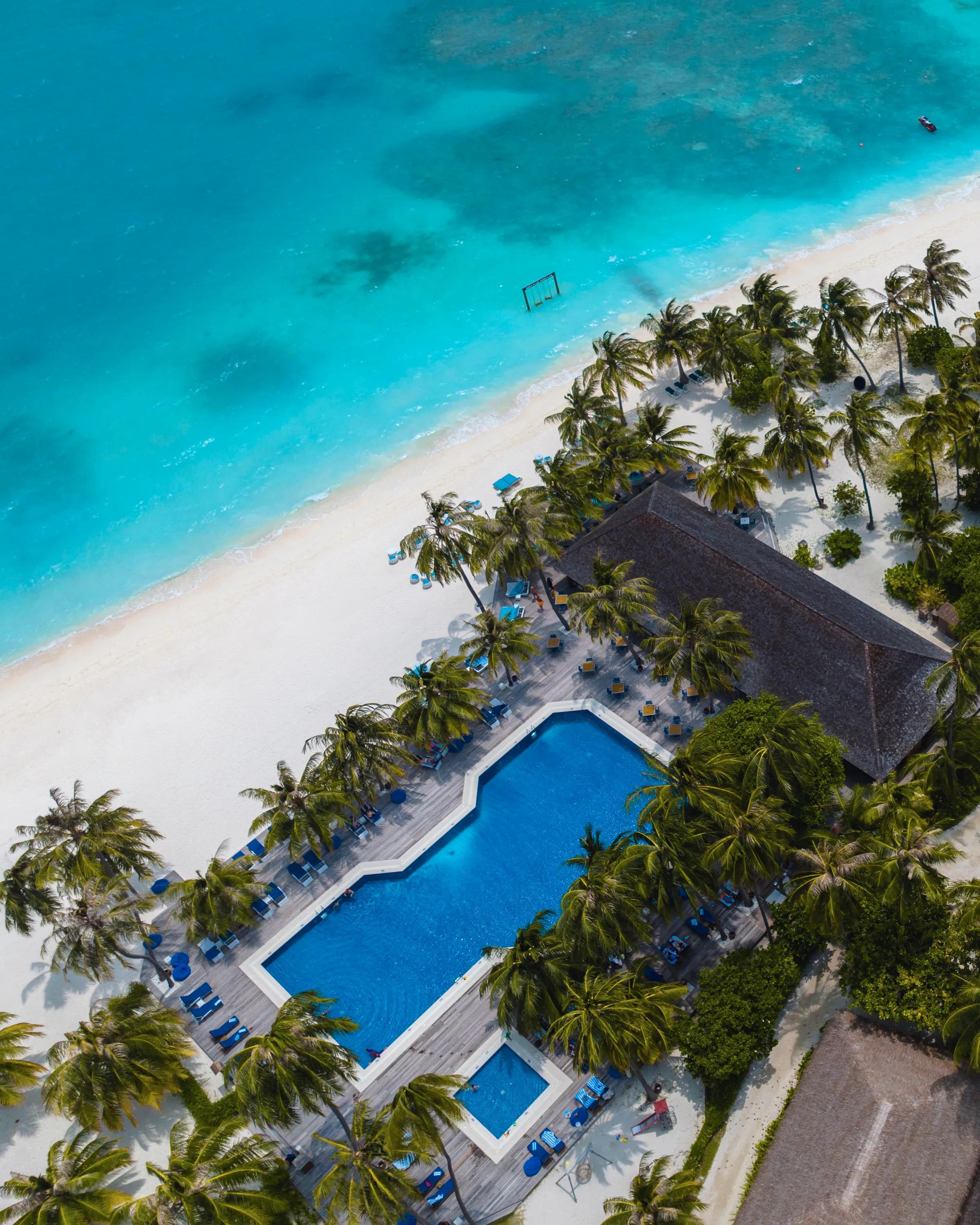 Piscina e palme con vista sulla spiaggia al Meeru Island Resort & Spa.